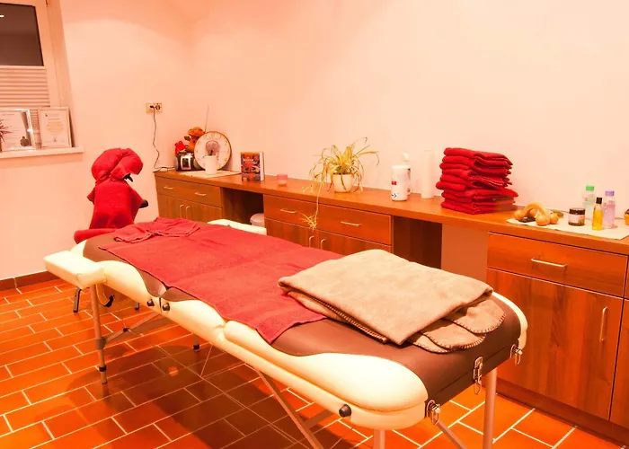 豪斯林格住宅酒店 4* Karlstetten